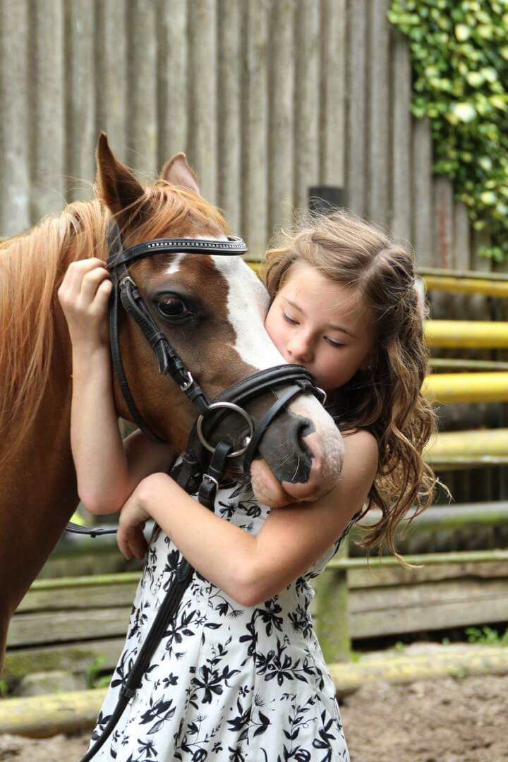 pony, girl, horse